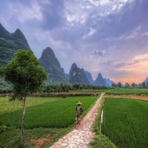 CN_AL_Yangshuo fietser